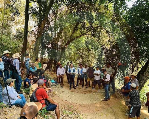 WhatsApp Image 2026-03-13 at 8.32.00 PM