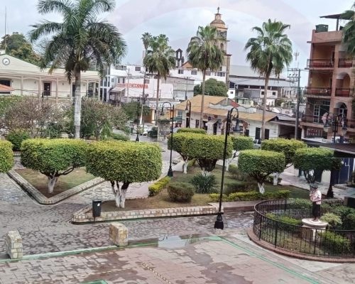 WhatsApp Image 2026-03-19 at 9.18.52 PM