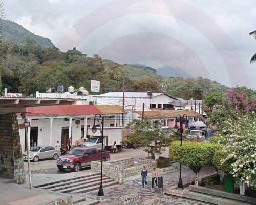 WhatsApp Image 2026-03-20 at 9.51.41 PM