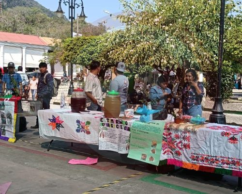 WhatsApp Image 2026-03-23 at 7.46.43 PM