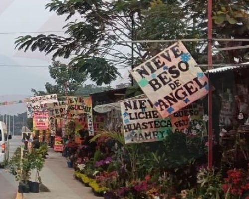 WhatsApp Image 2026-03-30 at 8.28.02 PM