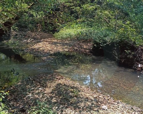 WhatsApp Image 2026-03-31 at 7.45.44 PM