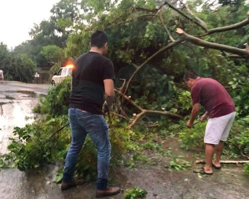 WhatsApp Image 2026-07-02 at 9.13.22 PM