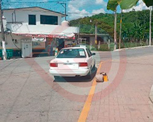 Zu-Noticia-23
