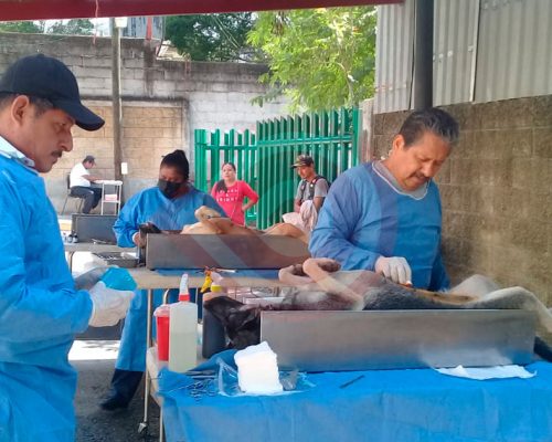 Zu-Noticia-31