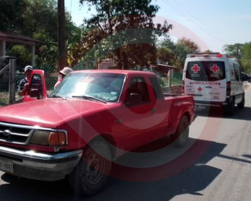 Zu-Noticia-42