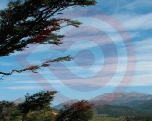 Zu-Noticia-Global