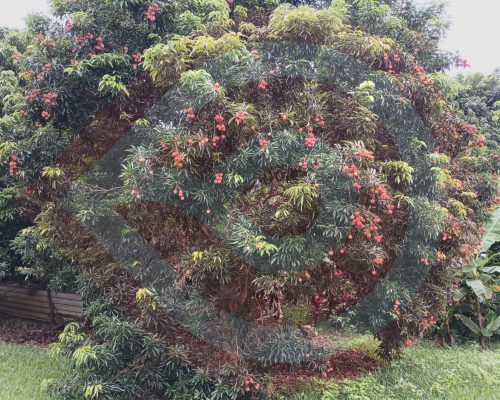 eZy Watermark-05-06-2023-05-28-00-1860p.m.