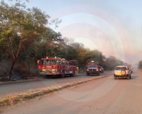 eZy Watermark-31-03-2022-05-33-37p.m.