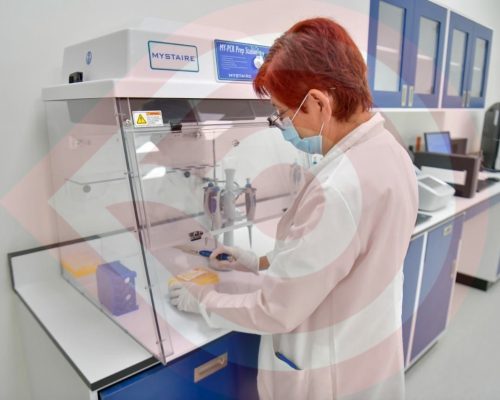 eZy Watermark-31-03-2022-06-50-06p.m.