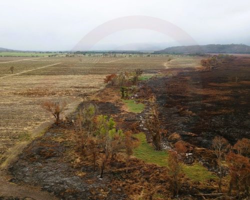 eZy_watermark_16-04-2024_04-11-59