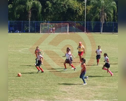futbol futbol