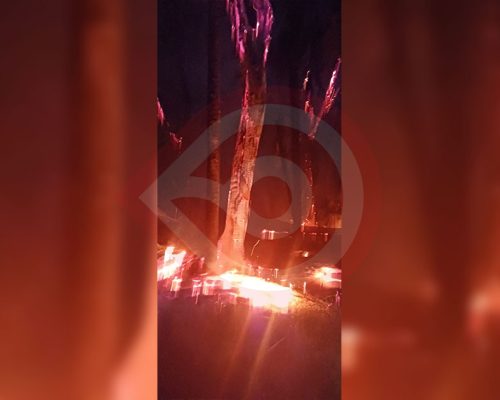 incendio01 incendio01